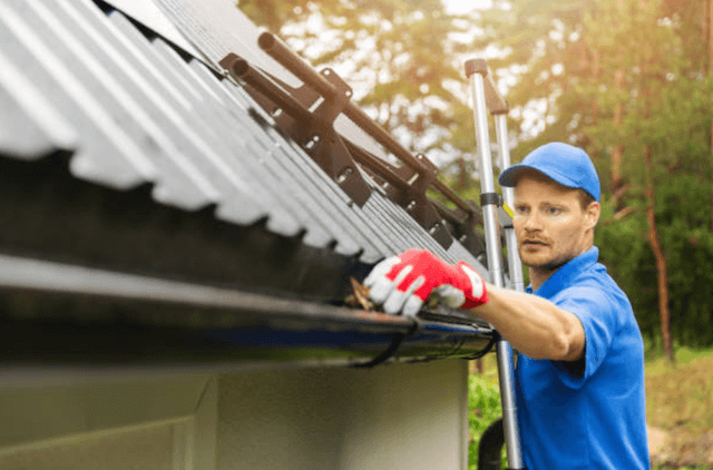 royal oak gutter service